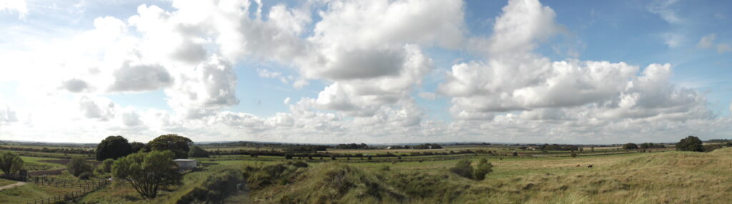 Panorama of Marsh scene